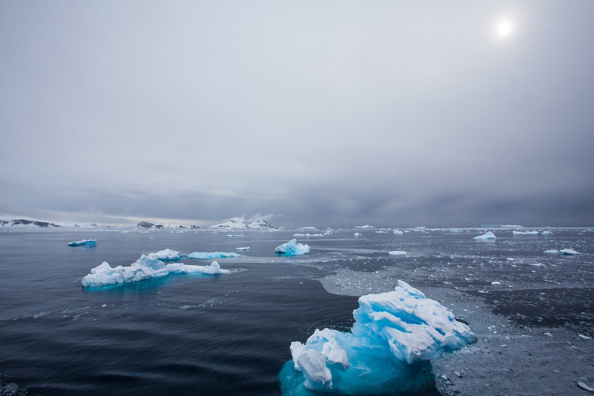 Sculpted blue iceberg in Antarctic waters
