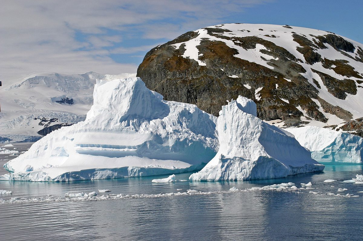 Sculpted icebergs drifting in calm Antarctic waters
