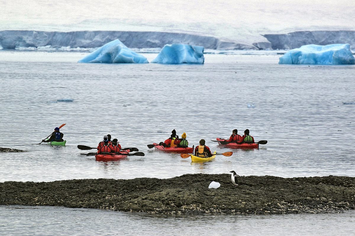 Sea kayakers paddling among ice on an Antarctica cruise